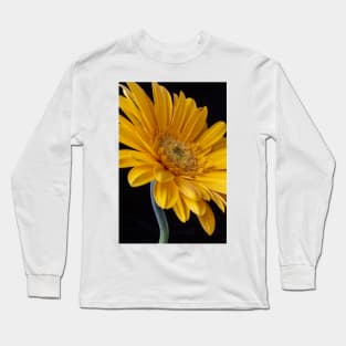 Curvy Yellow Gerbera Daisy Long Sleeve T-Shirt